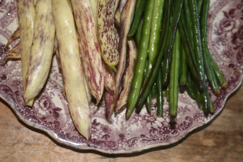 Freshly washed Dragon's Tongue beans on the left and Pink Eyed Purple Podded Peas on the right.